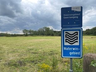 Waterwingebied in de gemeente Roosendaal. Foto: Paul Joachems