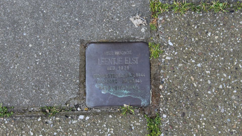 struikelsteen leentje van elst roosendaal