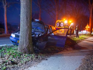 Auto botsing boom ongeluk Steenbergen halsteren