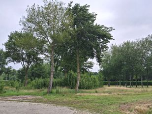 Definitief geen zorgwoningen op locatie voormalige Van Glymes speeltuin in Bergen op Zoom