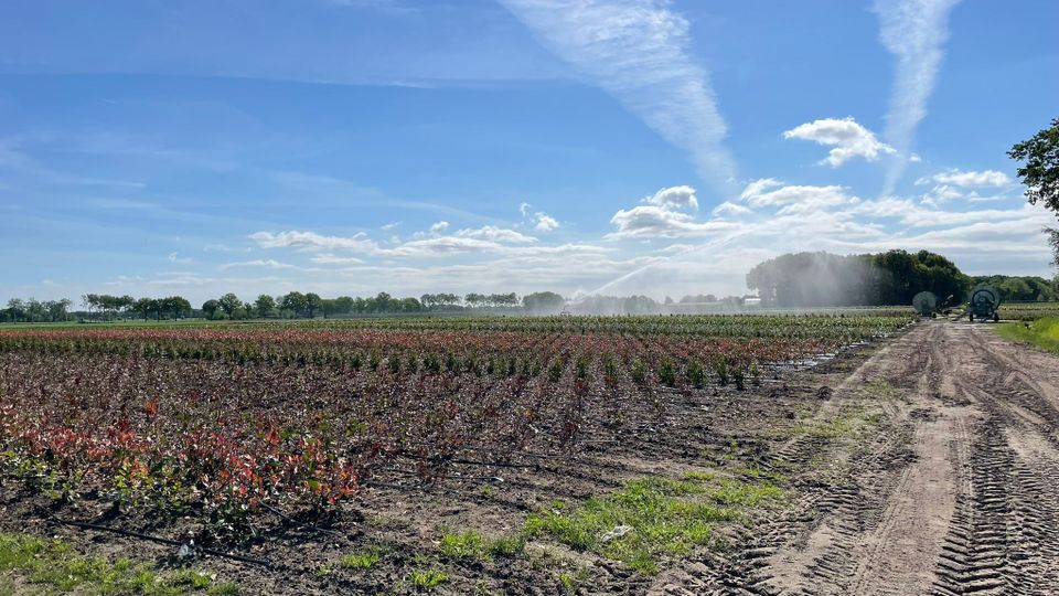 Waterschap neemt extra maatregelen vanwege aanhoudende droogte