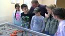 Basisschoolleerlingen nemen kijkje in Archeologisch Depot