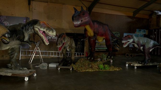 dinosaurus nieuws zeeland tholen