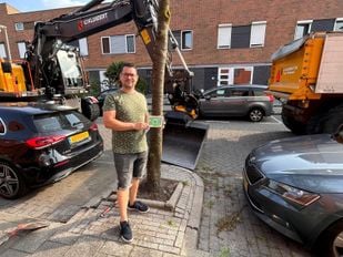 boomspiegels bergse plaat bergen op zoom