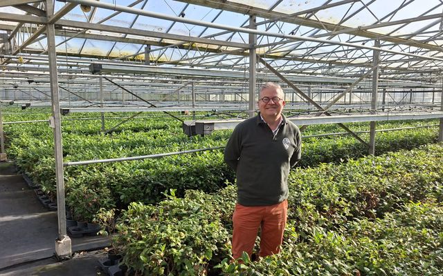 LocalTea opent deuren van Zundertse theeplantage én kondigt vertrek aan: &#8216;Op naar biologische grond&#8217;