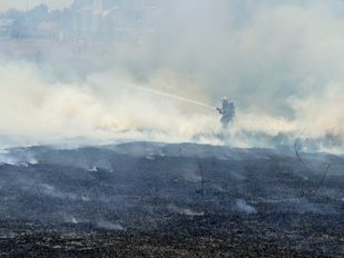 Flinke brand in rietveld in Sint Philipsland