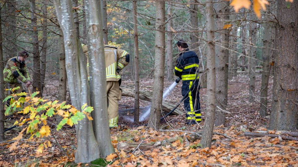 Branden Rucphense Heide