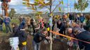 Vierhonderd kinderen planten duizend bomen in Rijsbergen tijdens Nationale Boomfeestdag