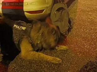 politie moos hond inbreker roosendaal