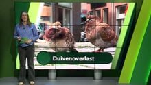 12 mei – Roosendaal | Bergen op Zoom | Woensdrecht | Tholen | Steenbergen