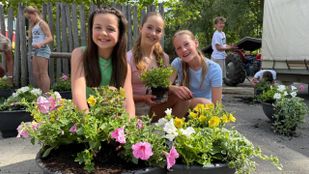 Basisschool de Fijne aarde Fijnaart Groep 8 Geraniums