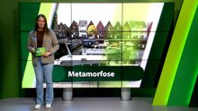 16 oktober – Moerdijk | Etten-Leur | Zundert | Halderberge | Rucphen