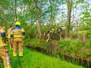 Brandweer rukt twee keer uit voor bosbranden bij Halsteren