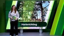 14 oktober – Moerdijk | Etten-Leur | Zundert | Halderberge | Rucphen