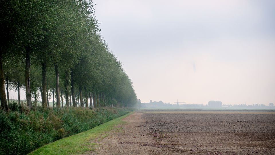 Waterschap onderzoekt gebiedsgerichte aanpak pacht: &#8216;Kijken naar wat wél kan&#8217;