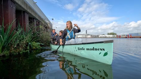 Groen aan de damwand: pilot houdt zich goed in Theodorus Haven