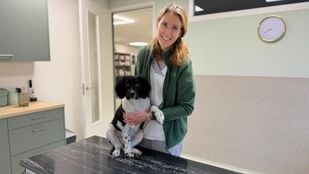 Dierenarts Renate Wellens van Dierenkliniek Zevenbergen