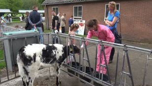 Boerderijdagen Halsteren