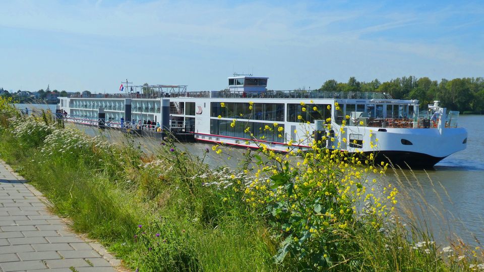 Bergs Beleidskader: kibbelen over AZC&#8217;s en dromen van &#8216;Loveboat&#8217;-cruiseterminal