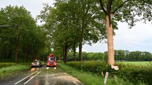 bliksem inslag boom Rijsbergen