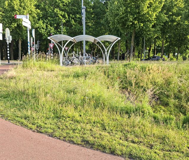 Gemeente Etten-Leur en groenbedrijf uit elkaar: &#8216;Samenwerking niet meest passende oplossing&#8217;