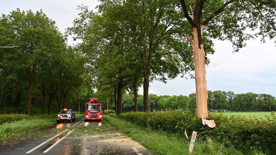 bliksem inslag boom Rijsbergen
