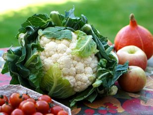 Jongeren na de zomer van start met gezonde voedselkeuzes tijdens Food Boost Challenge