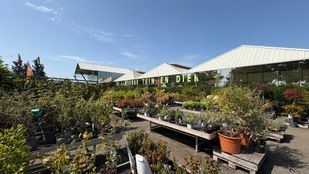 Tuincentrum De Landerije Tuin en Dier (Foto: ZuidWest TV)
