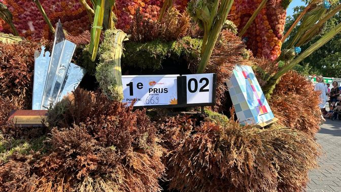 Buurtschap Schijf eerste plaats bloemencorso Zundert 2024