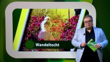 24 augustus – Moerdijk | Etten-Leur | Zundert | Halderberge | Rucphen