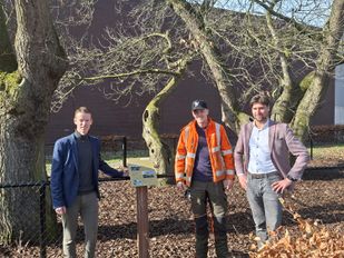 tamme kastanjes informatiebord Woensdrecht
