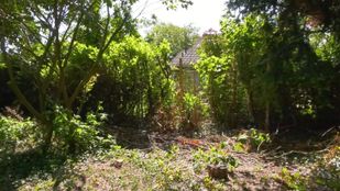 Kaalslag Oscar van Hemelpark