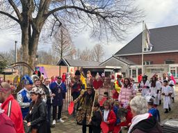 Carnaval Aopelaand