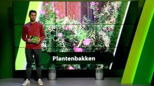 15 september – Roosendaal | Bergen op Zoom | Woensdrecht | Tholen | Steenbergen