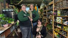 Lost Treasures Hoogerheide