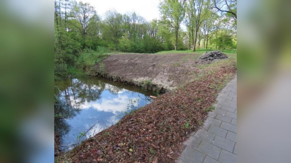 Broedplaats beschermde ijsvogels vernield tijdens werkzaamheden: &#8216;Noodzaak was groot&#8217;