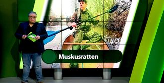 ZuidWest Update - 25 februari – Roosendaal | Bergen op Zoom | Woensdrecht | Tholen | Steenbergen