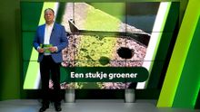 19 juni – Roosendaal | Bergen op Zoom | Woensdrecht | Tholen | Steenbergen