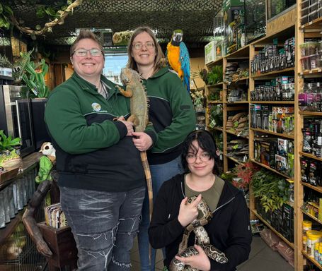 Lost Treasures Hoogerheide