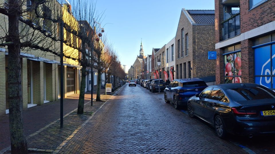 Lindebomen Molenstraat Zevenbergen