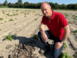 Ary van Nieuwenhuyzen Boer Kruisland