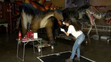 dinosaurus nieuws zeeland tholen