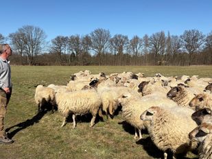 Van Driel Landschapsbeheer