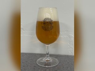 bergs bierfestival speciaalbier bergen op zoom brabant nieuws evenement