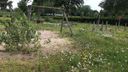 Stadsspeeltuin Bergen op Zoom ontmanteld: toestellen naar Amaliapark