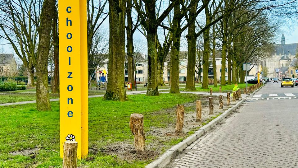 Om de verkeersveiligheid te verbeteren plaatste de gemeente houten paaltjes in het Catharinapark in Wouw. Foto: Eric de Regt.