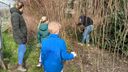 Struikrovers redden planten en stuiken in Bergen op Zoom: &#8216;Een mooi initiatief!&#8217;