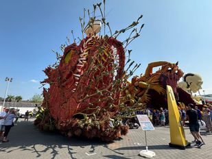 Buurtschap Schijf winnaar bloemencorso Zundert 2024
