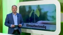 ZuidWest Update - 2 april 2025