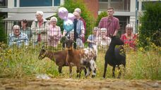 Nieuwe dierenweide in Zundert moet bewoners én buurtbewoners verbinden